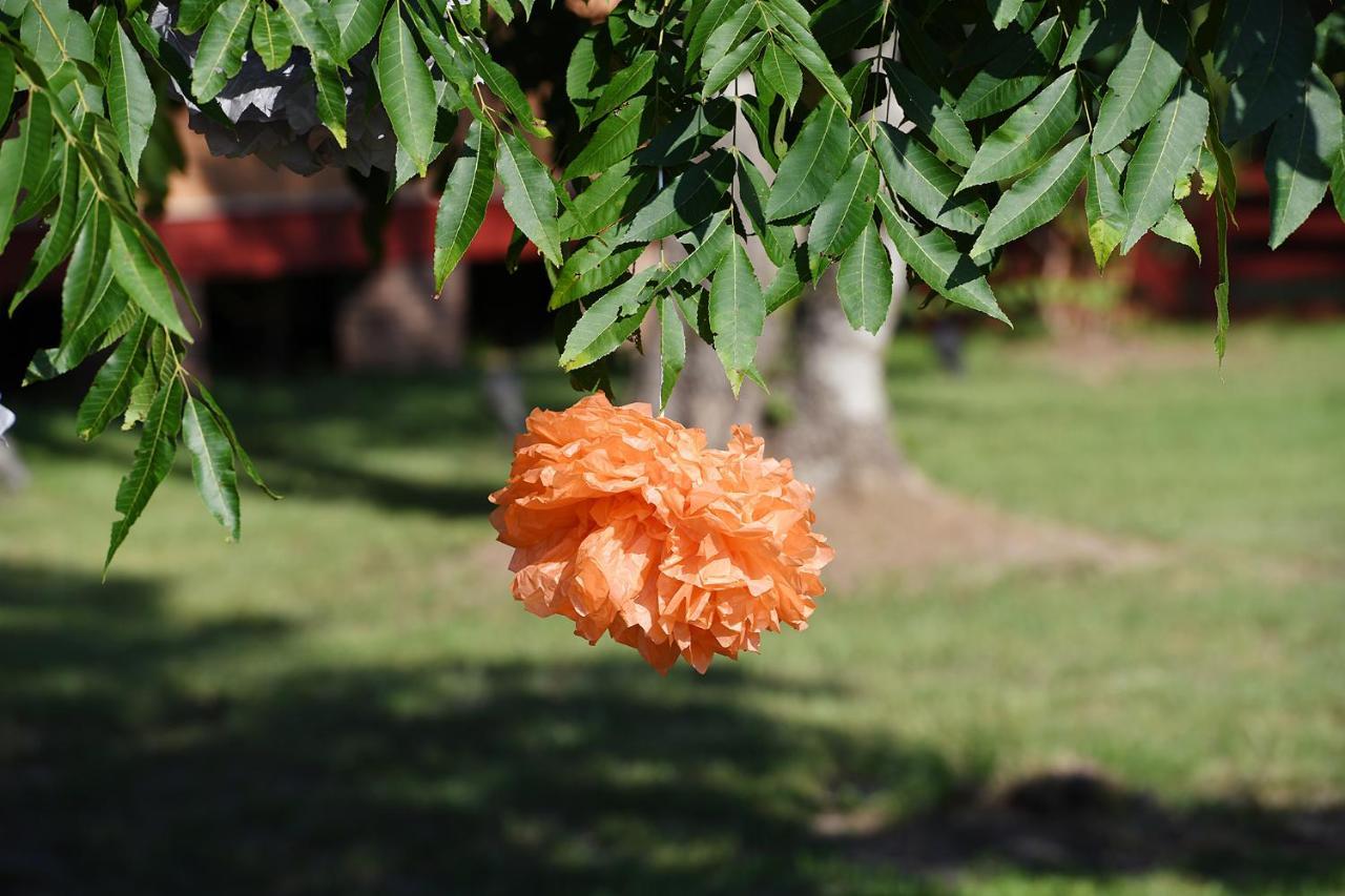 Bed and Breakfast Coulter Farmstead Washington Экстерьер фото